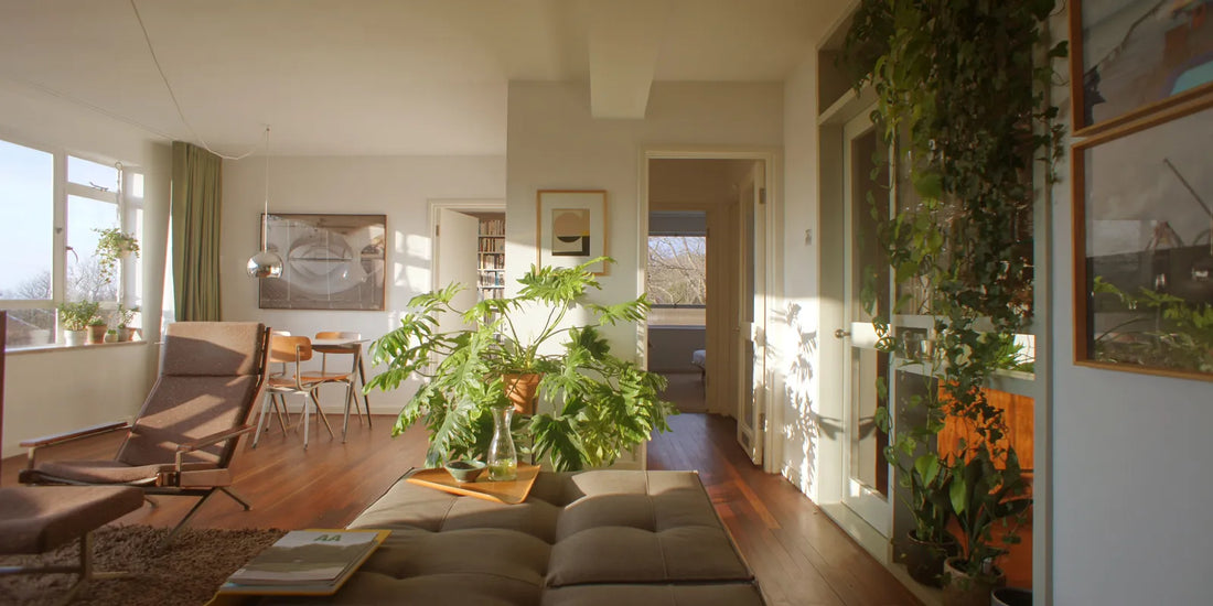 Why Everyone Suddenly Has a Hobby and How It’s Changing Our Homes