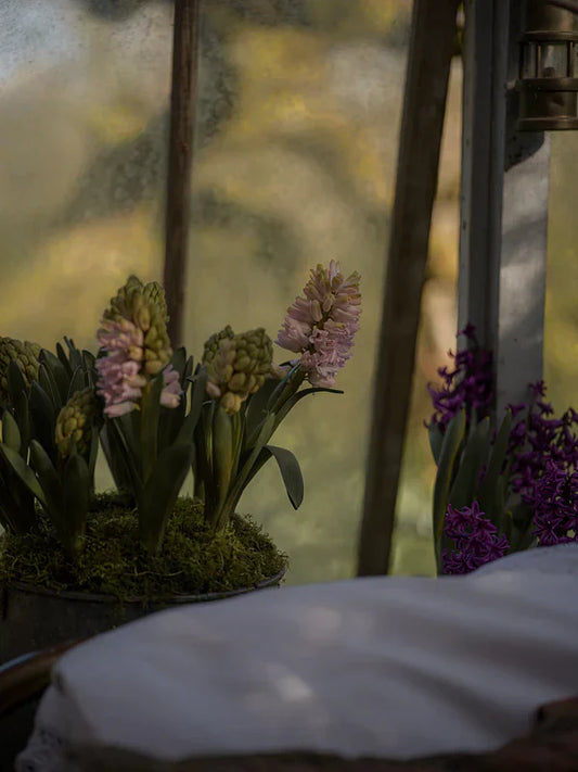 The Spring We Let Things Shift